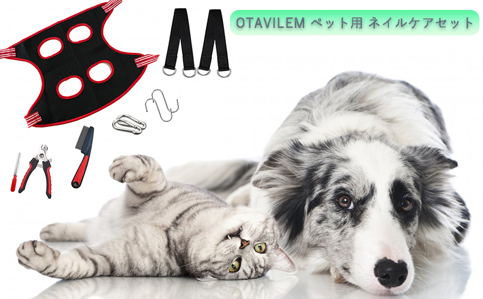犬の補充