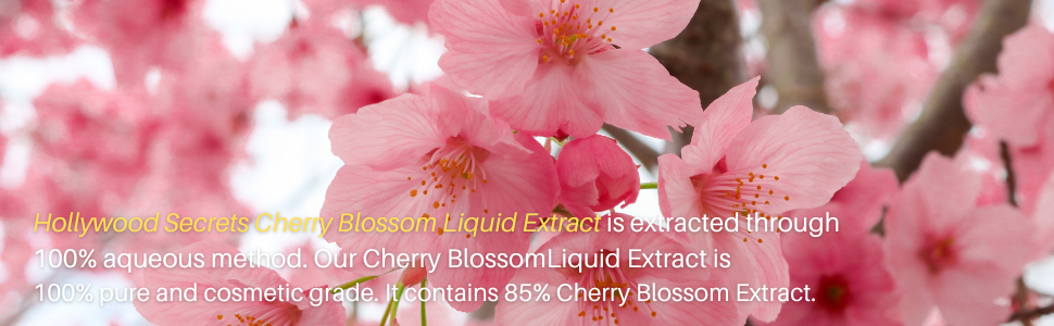 Cherry Blossom Liquid Extract 