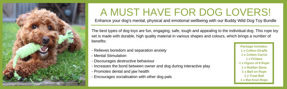 must have for dog toys