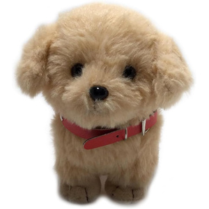 Amazon.co.jp: キュート販売 ぬいぐるみ ぽていぬちゃん パグちゃん