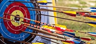 Archery Fletches