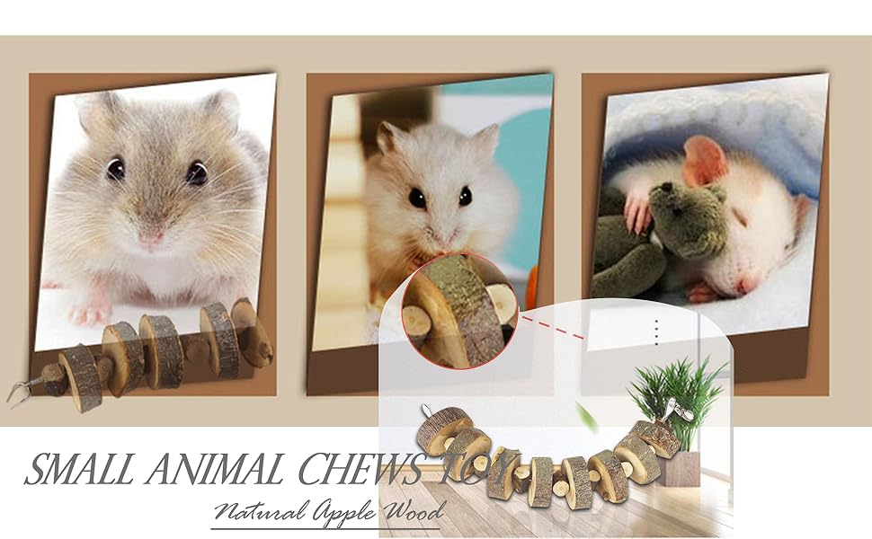 Small Animal Chews Toy Natural Apple Wood