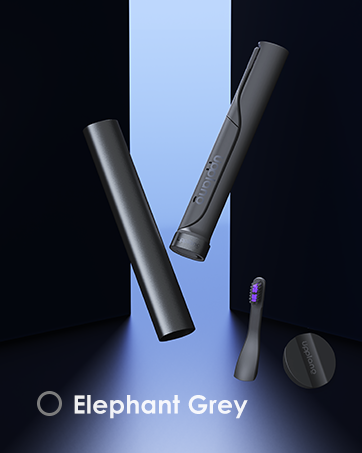 Electric Toothbrush Portable Sonic with Protective Case 