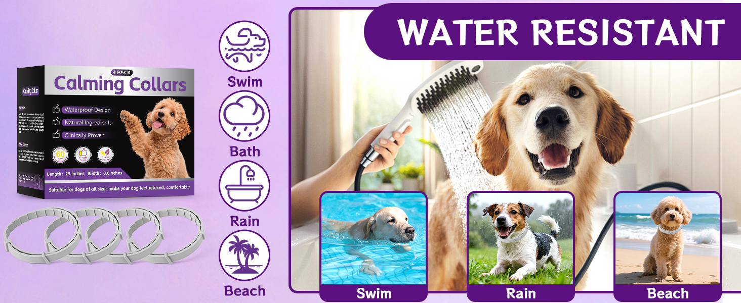 calming collar for dogs