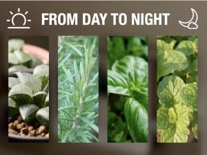 Small manufacture image 4