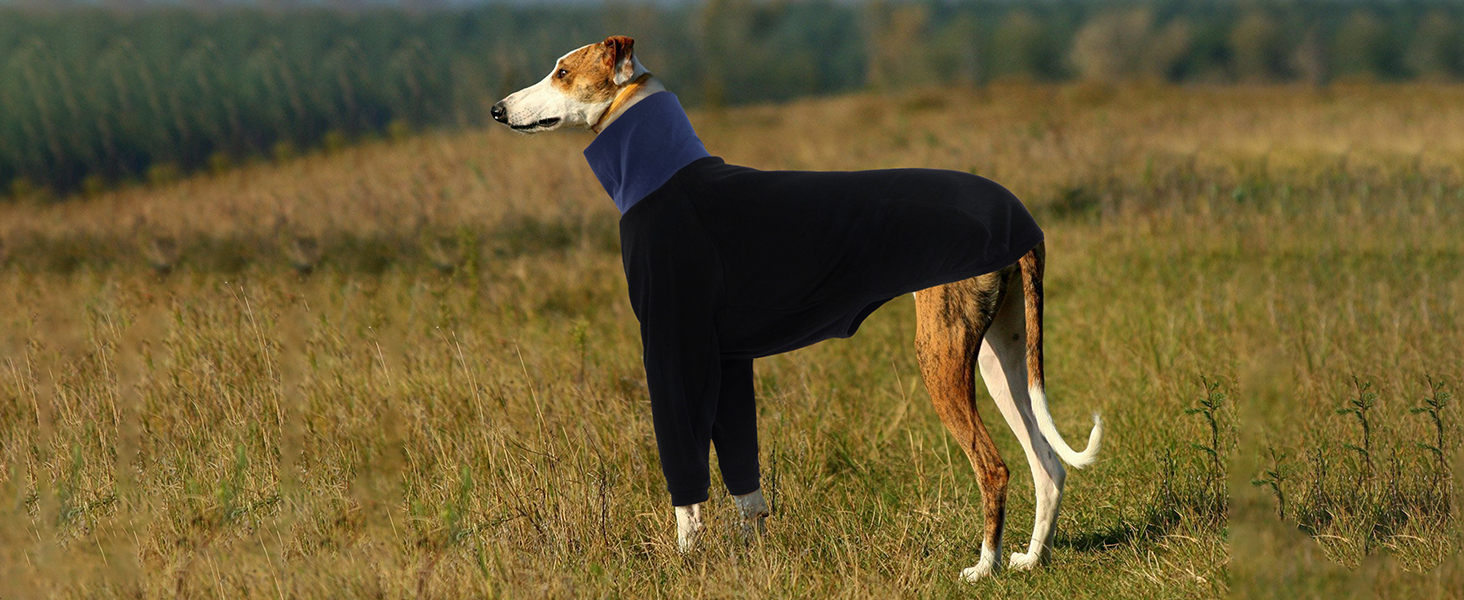 IECOii Greyhound Sweater,Whippet Clothes with Long Sleeve