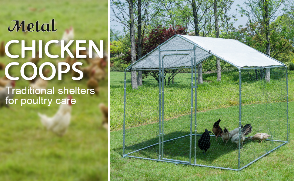 Chicken Coop, Large Metal Chicken Coop Walk in Poultry Cage