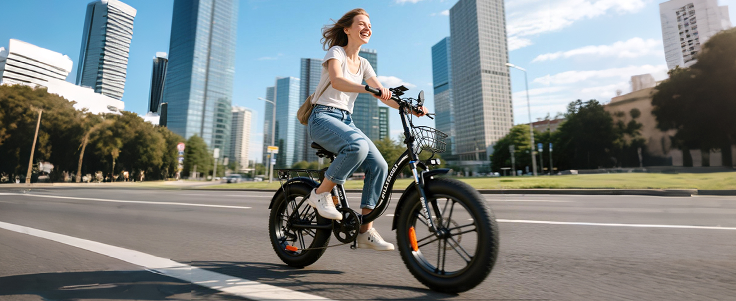 fatbike e-bike Trekking City Pedelec klappbar  klapp mountainbike