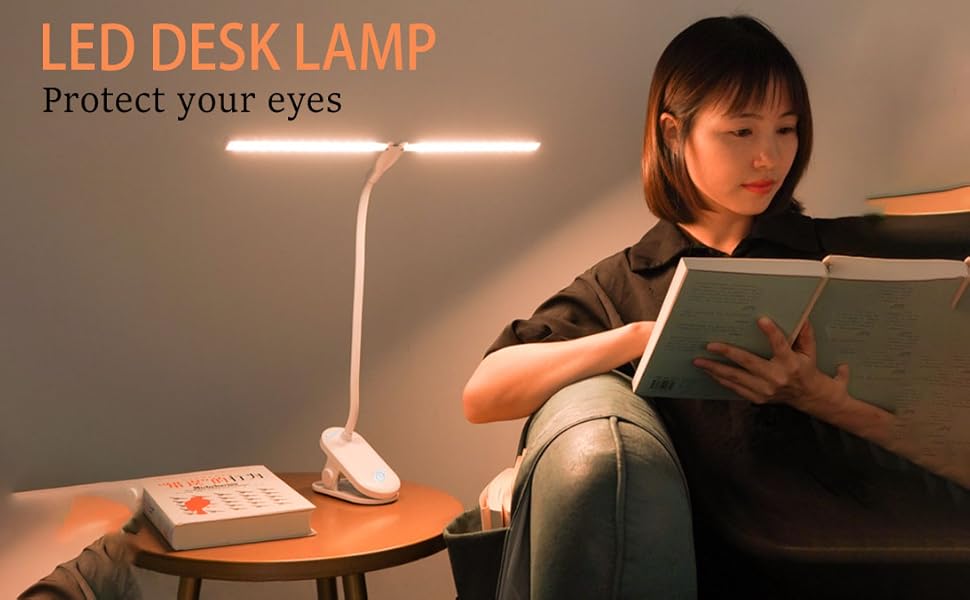 LED Desk Lamp
