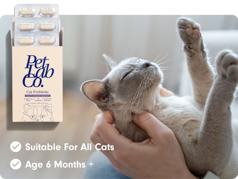 cat probiotic