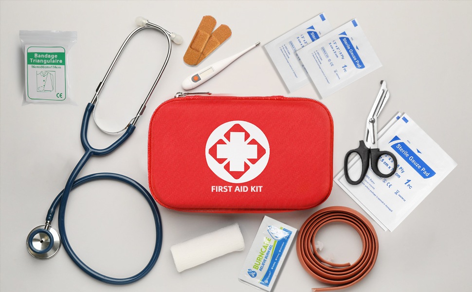 Mini First Aid Kit