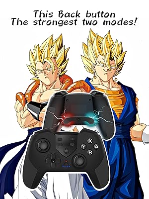 switch controller