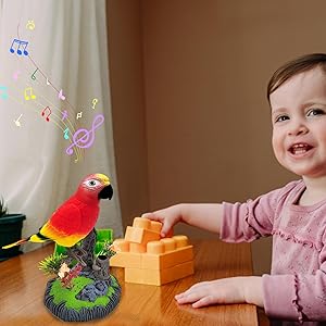 Unique Bird Toy Experience