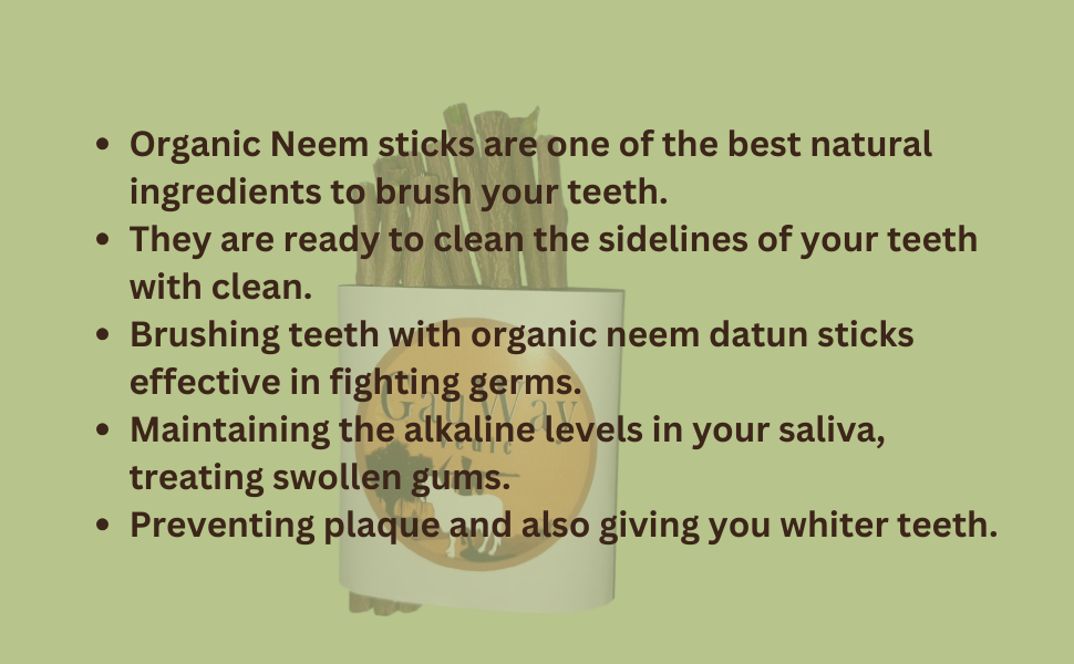 GAUWAY VEDIC Natural Neem Chew Sticks Datun Ayurvedic