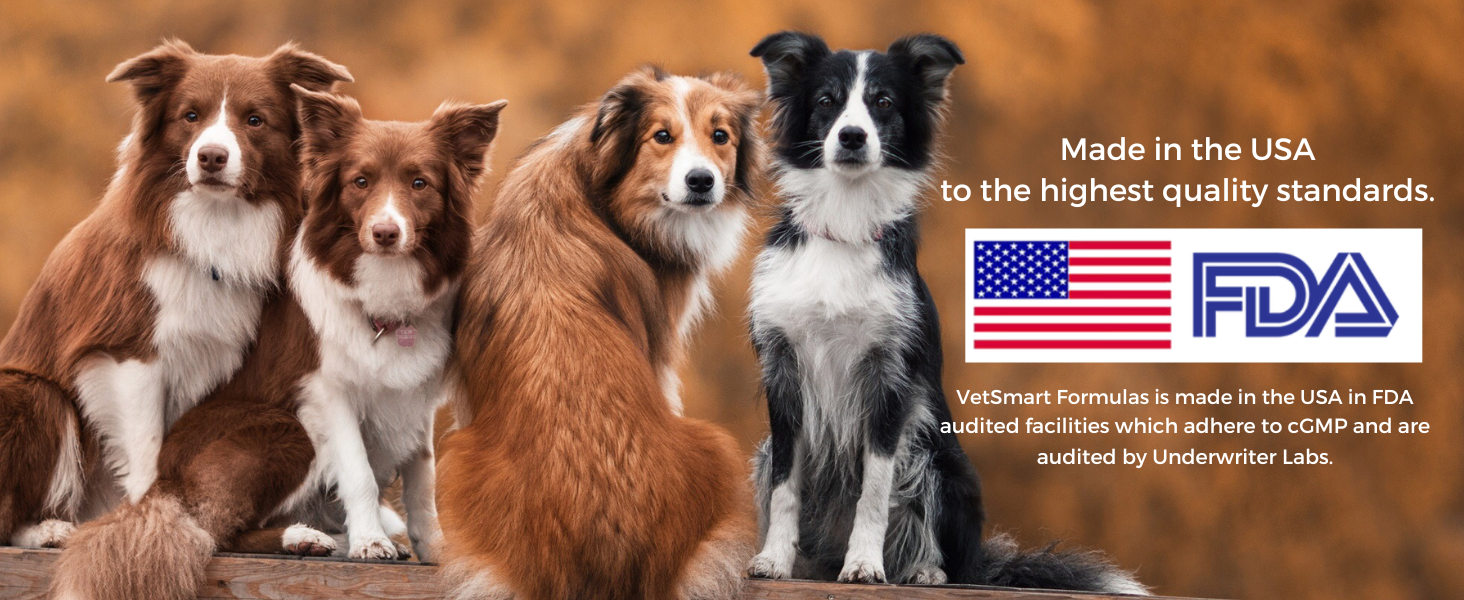 Critical Joint Relief Soft Chew for Dogs