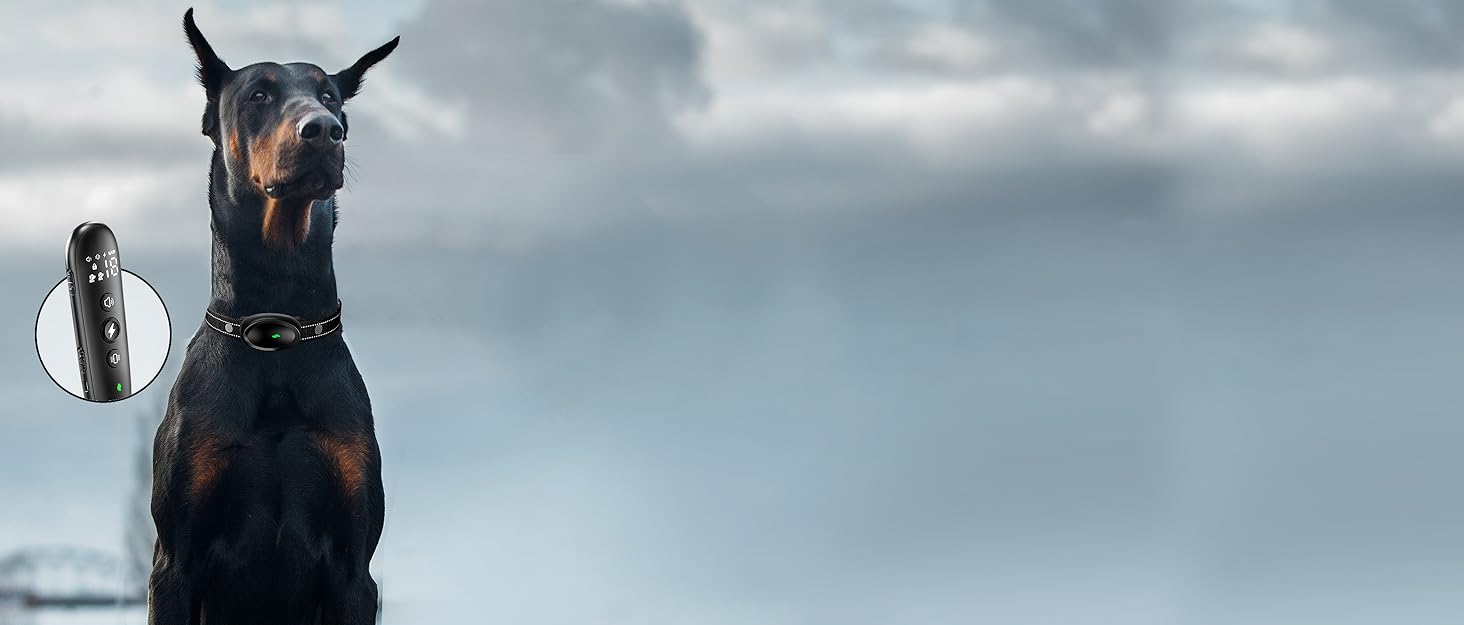 2024 Release Dog Training Collar with Remote 3300ft Range