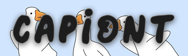 Goose first birthday wall decoration