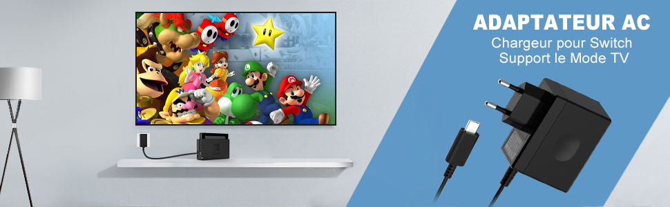 Chargeur pour Switch