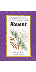 Advent book cover