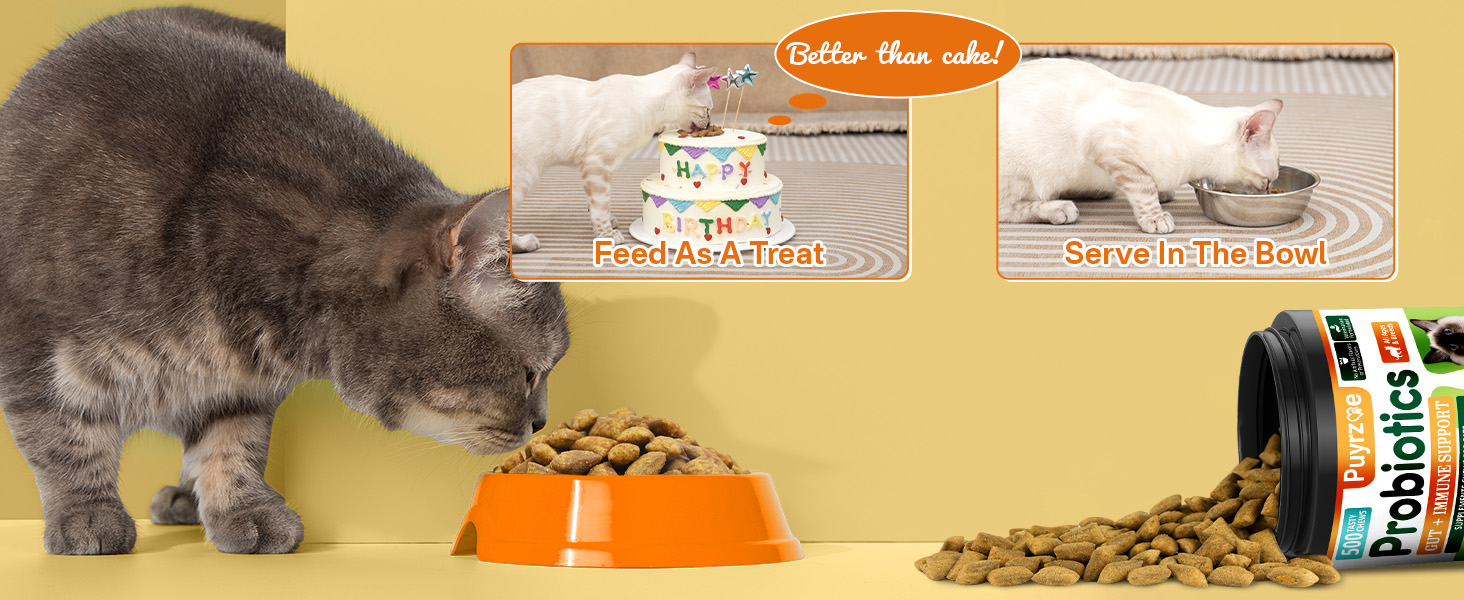 cat probiotic