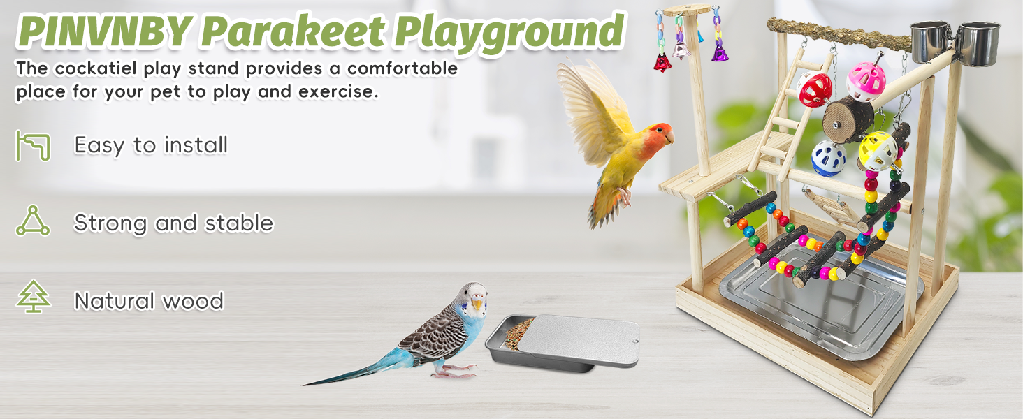 Bird Playground