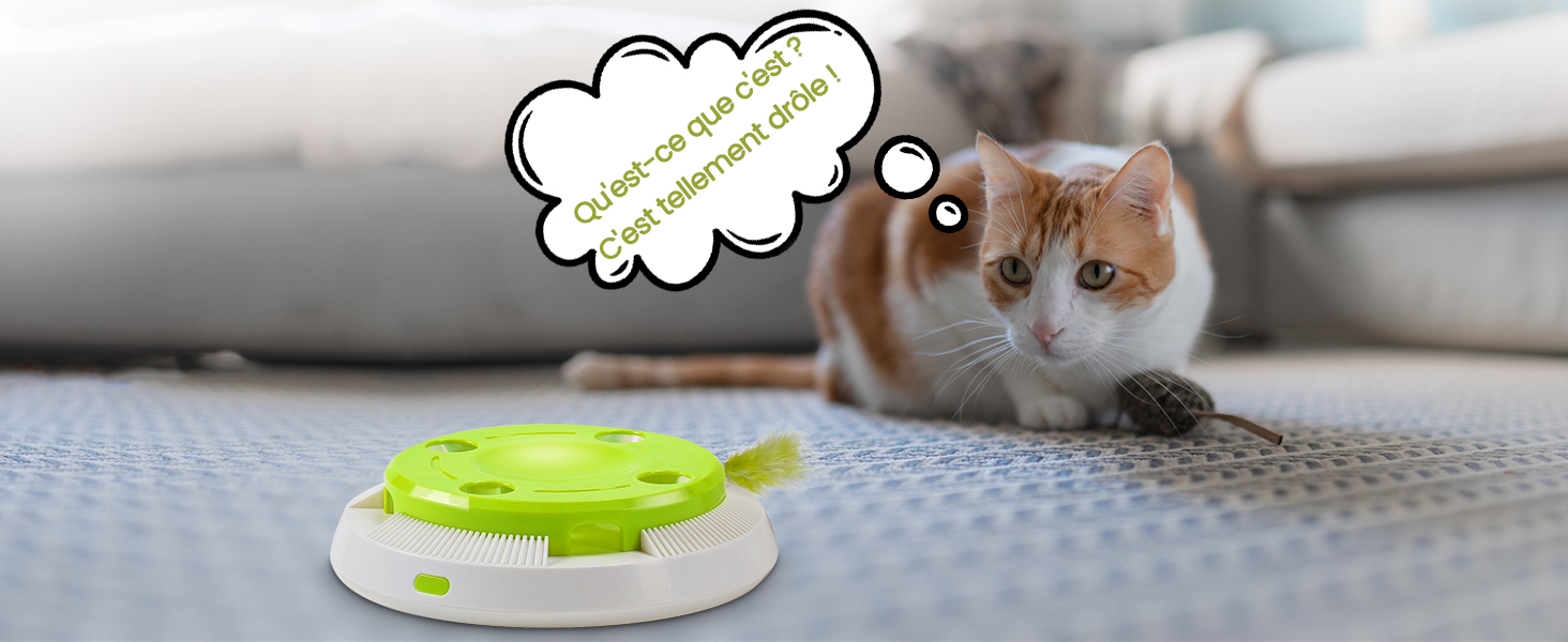 Jouet pour Chat