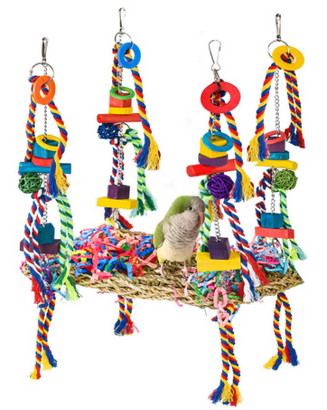 bird toy