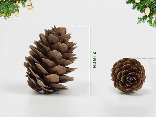 Natural Mini PineCones
