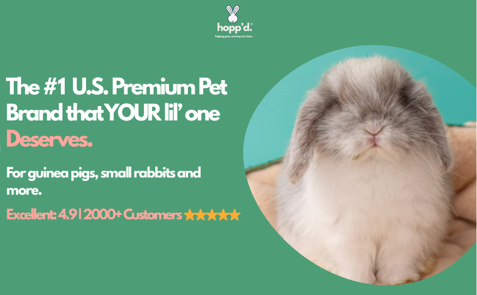 bunny hideout, bunny house, rabbit house, guinea pig accessories, rabbit hide,