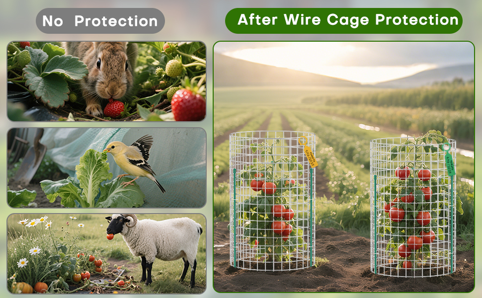Plant Cages to Keep Animals Out