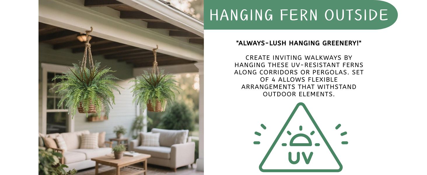hanging plant