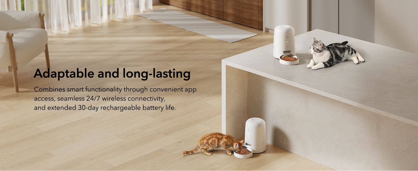 comedero para mascotas