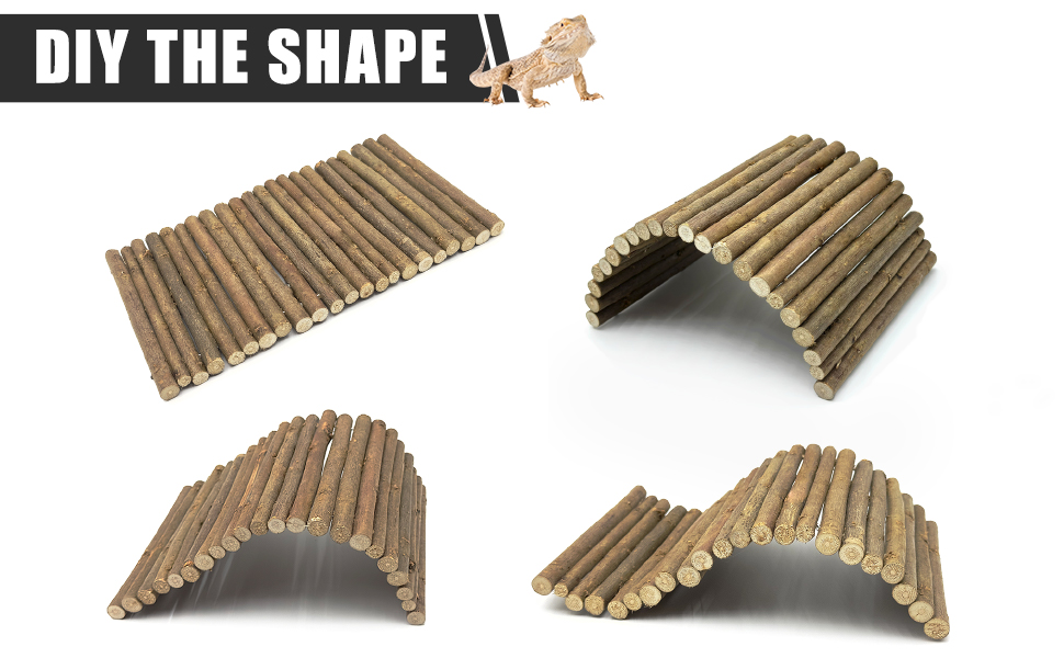 snake enclosure accessories