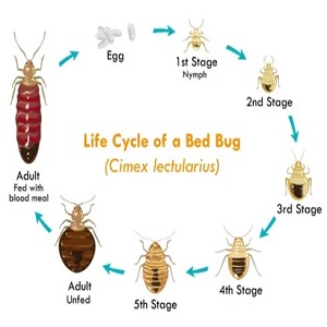 Small manufacture image 6