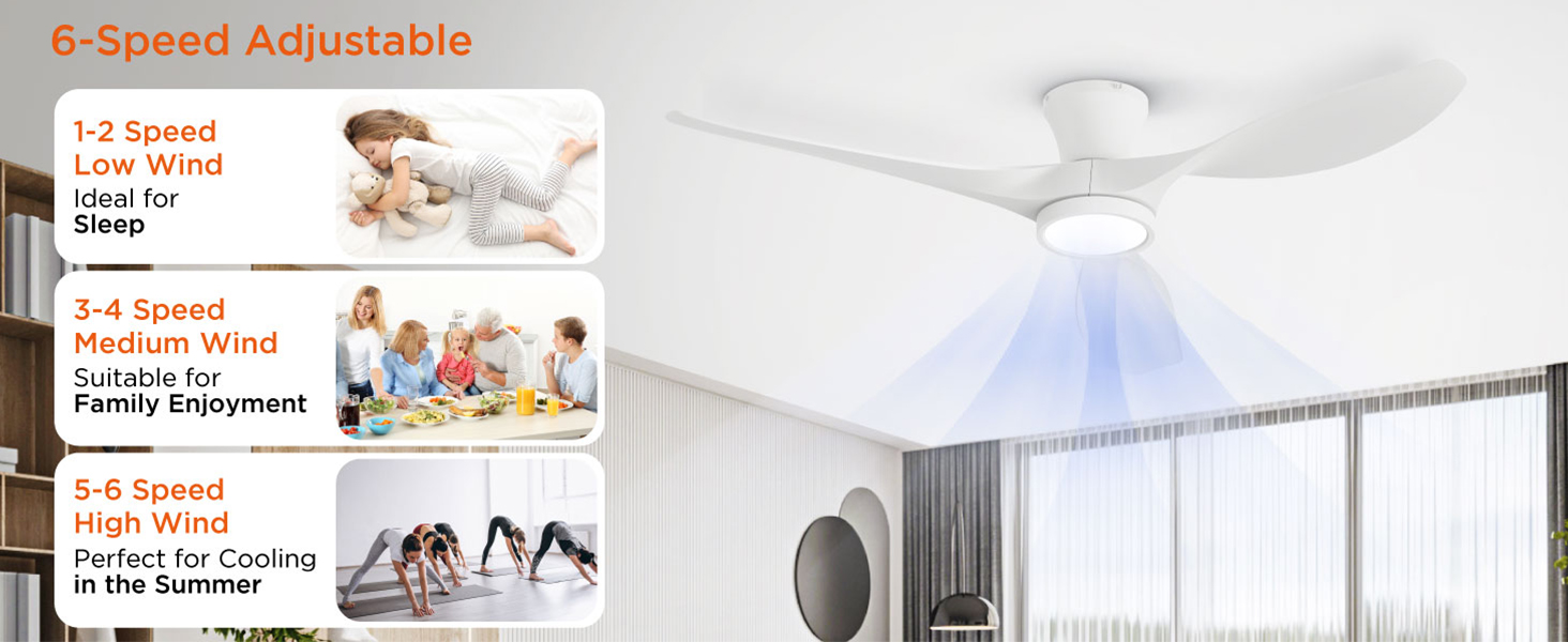 ceiling fan