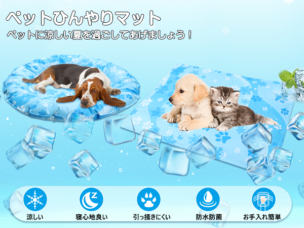 抗一口サイズのホットドッグの猫を高めるためにペット氷の絹の