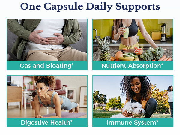 Vitalitown Max Strength Probiotics is formulated to help you find the way to balance and comfort