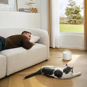 No Water, No Problem