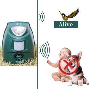 Cerf-Volant Anti-Oiseaux - Épouvantail à Oiseaux Extensible - Dragon Faucon Volant - Pour Oiseaux Pour Jardin Et Ferme 15