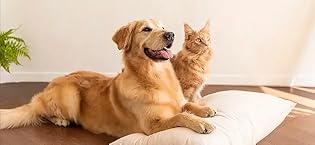 Dog Crate Kennel Pad