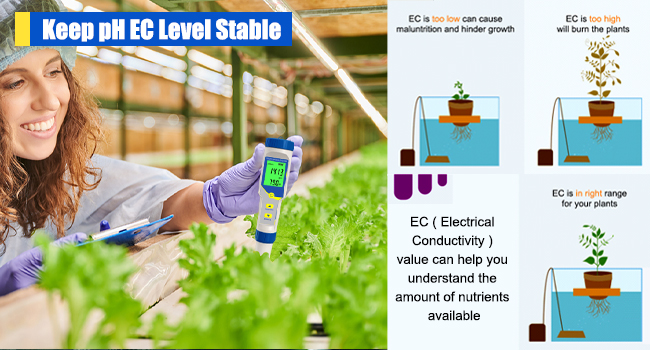 Large manufacture image 7