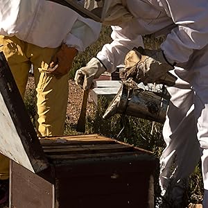 NEVER FEAR BEE STINGS AGAIN