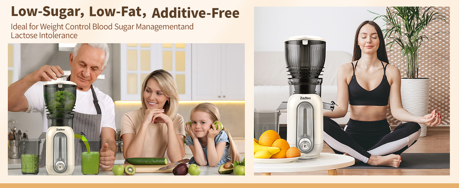 Cold Press Juicer Machines A+04