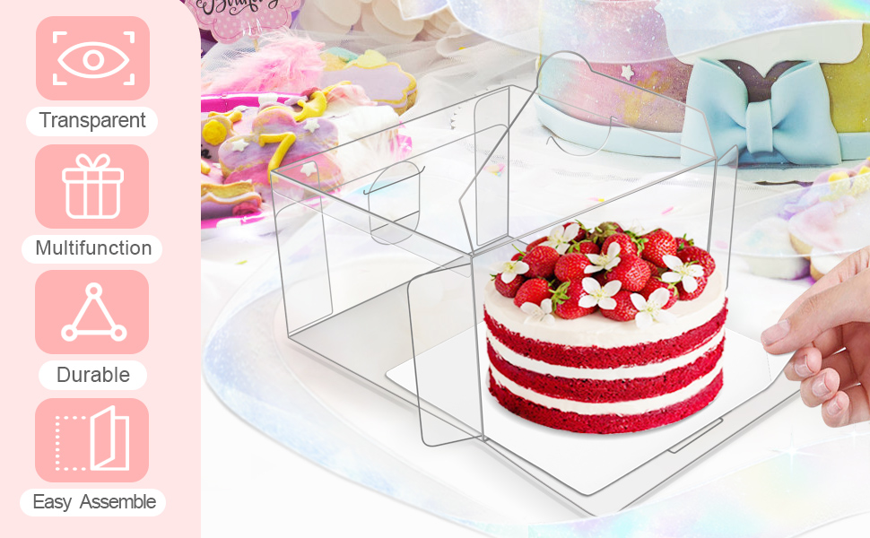 clear Bento Cake Boxes 6X6X4 Inches