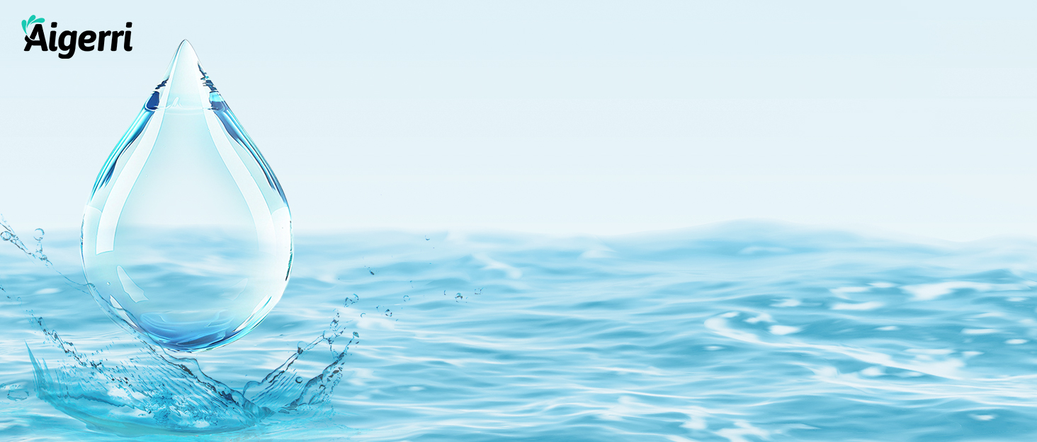 reverse osmosis water filter 