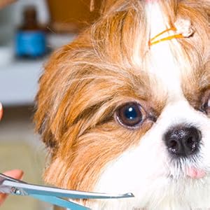 Professional Dog &amp; Cat Grooming Essential Tool for Groomers