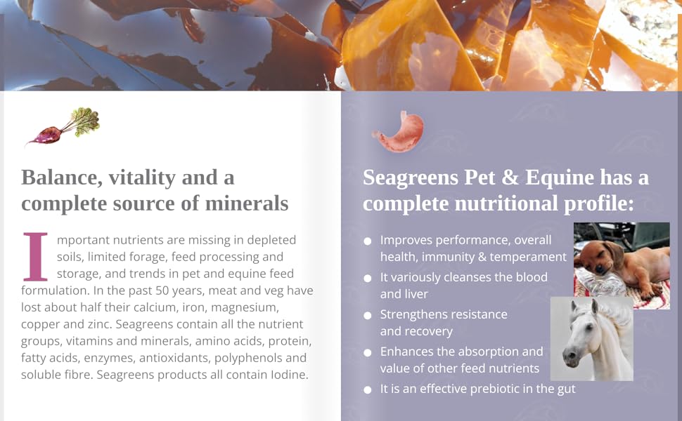 Seagreens Pet micronutrients and benefits