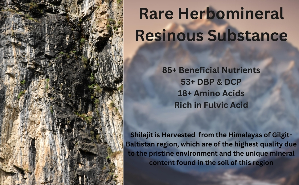 Suppliment Facts & nutrients