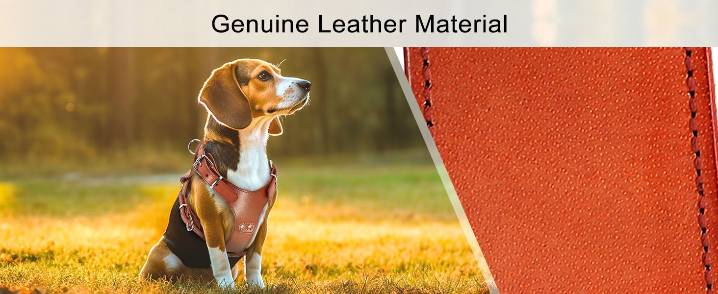 Beirui Genuine Leather Dog Harness No Escape Harnesses for Small Medium Dogs Pet