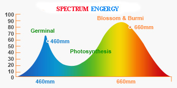 LED grow light Spectrum engergy
